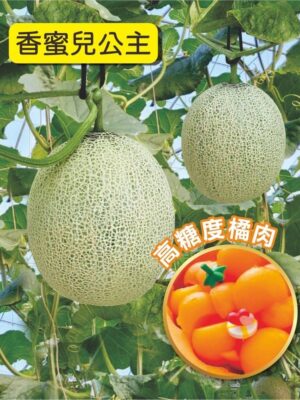 香蜜兒公主/包200粒