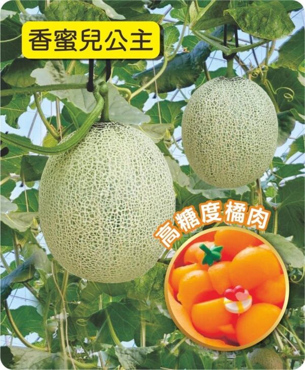 香蜜兒公主/包200粒