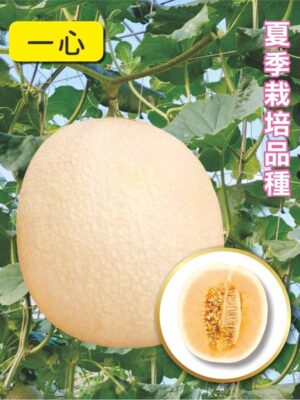 一心/包200粒