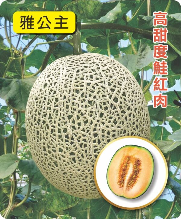雅公主/包200粒