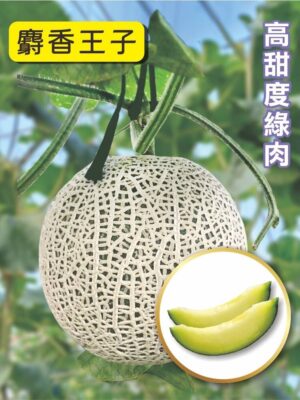 麝香王子/包200粒