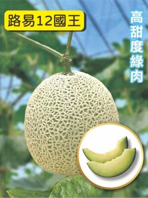 路易12國王/包200粒