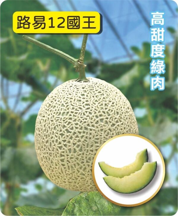 路易12國王/包200粒