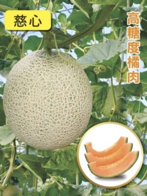 慈心/包200粒