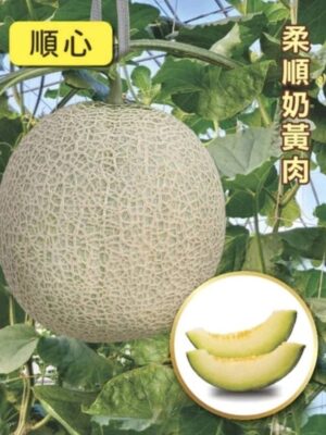 順心/包200粒