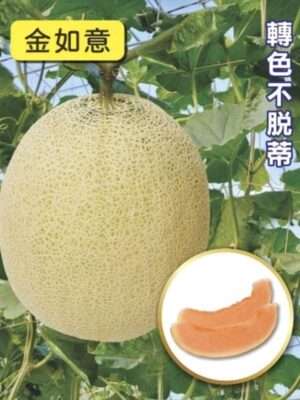 金如意