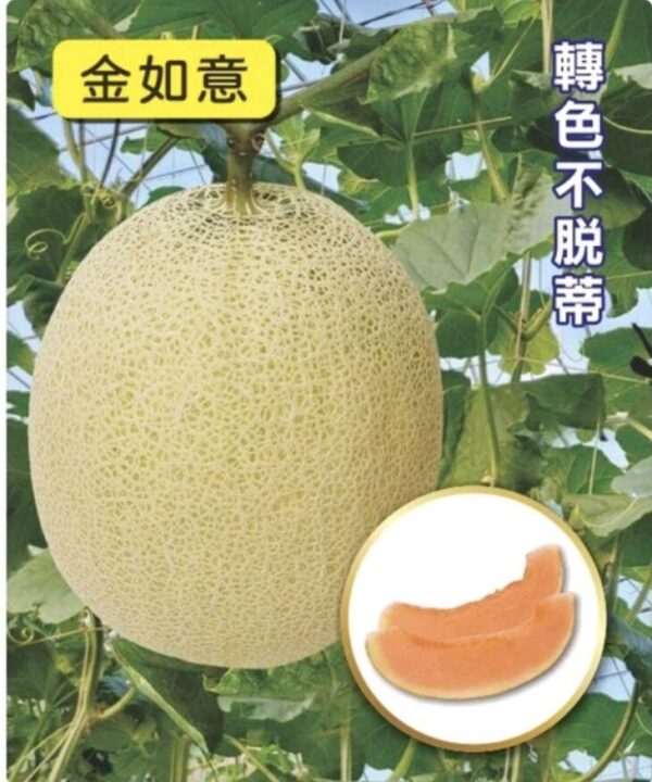 金如意