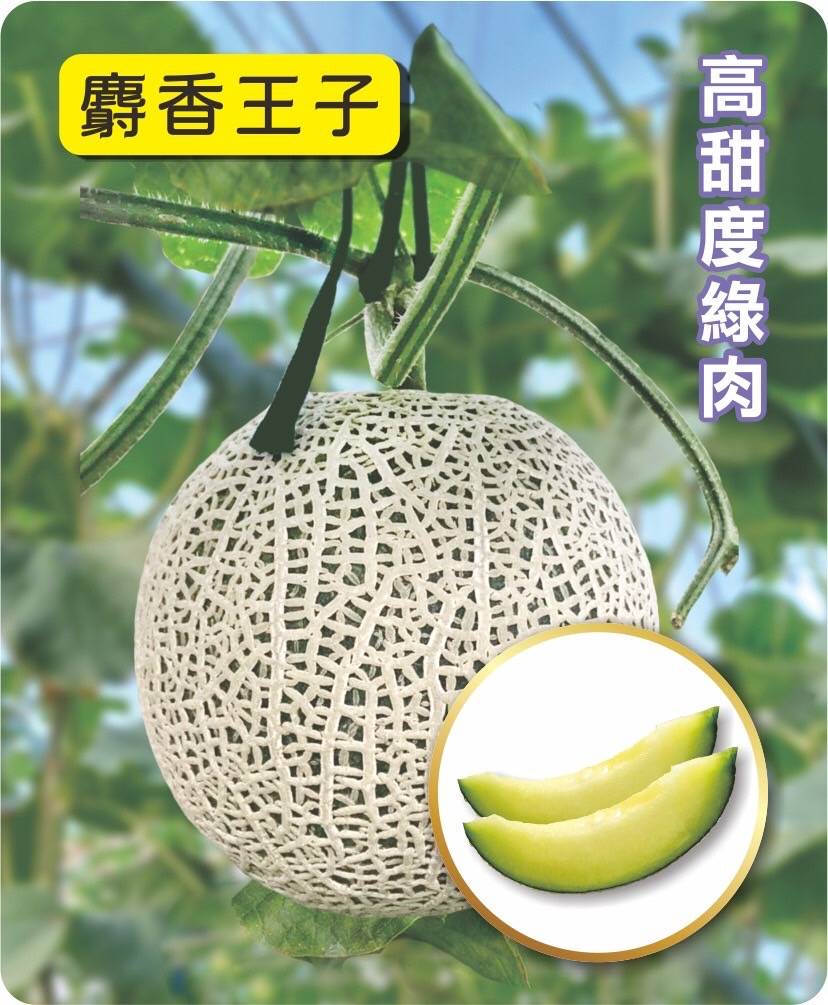 這張圖片的 alt 屬性值為空，它的檔案名稱為 1021535_0.jpg